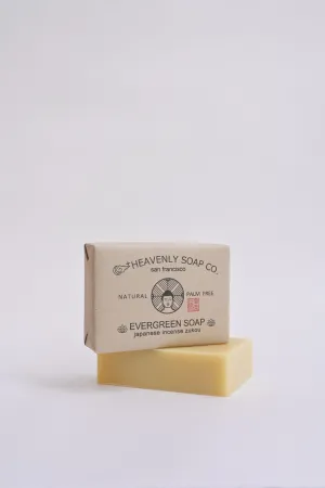 Evergreen Soap