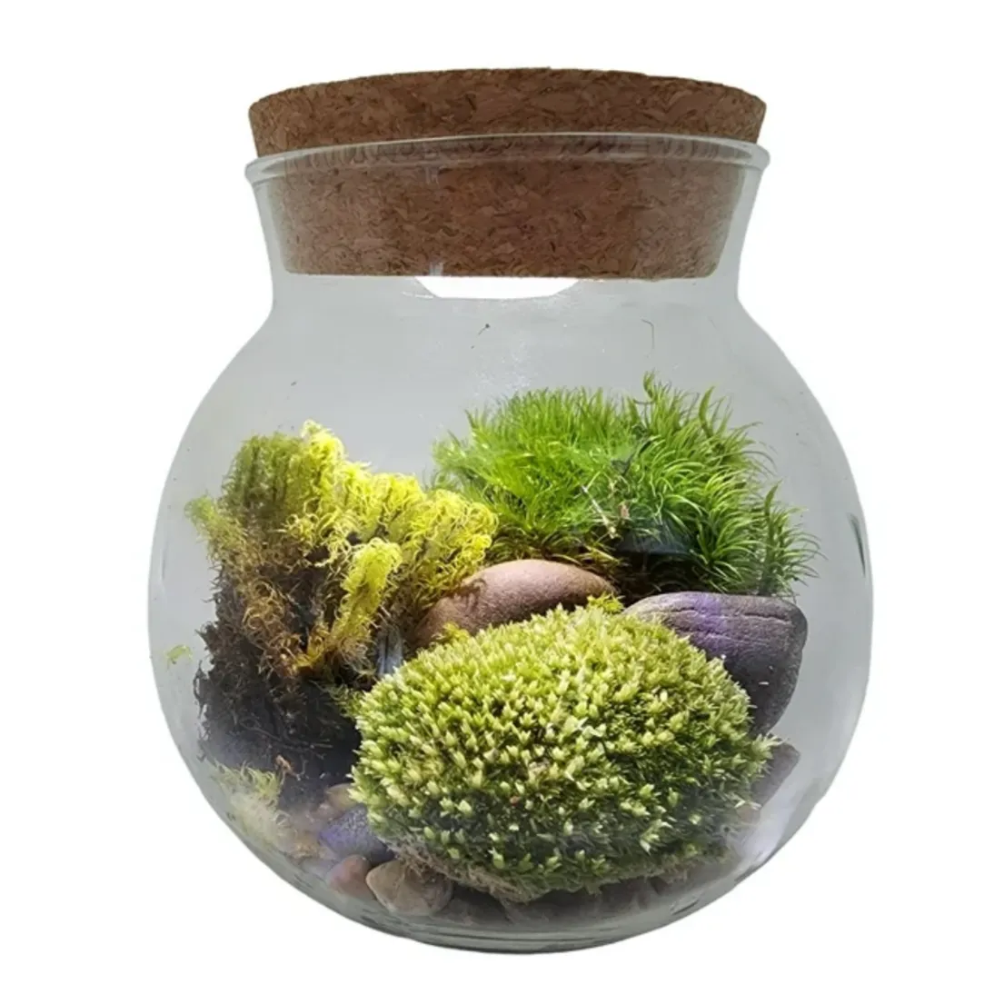 Moss Bowl