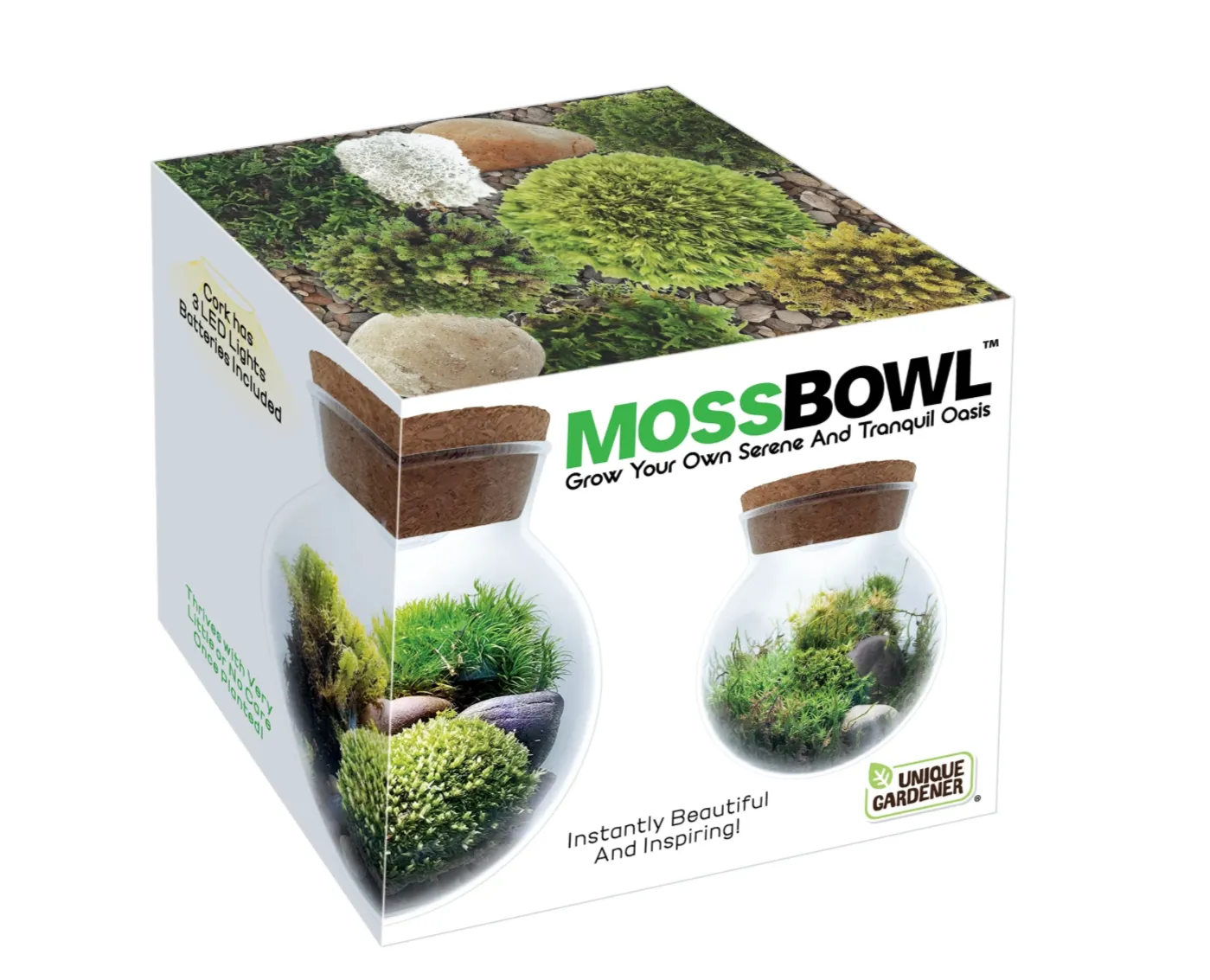 Moss Bowl