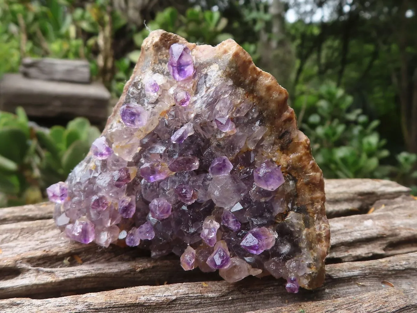 Natural Hand Made Chiredzi Amethyst Conglomerate Specimens x 6 From Chiredzi, Zimbabwe