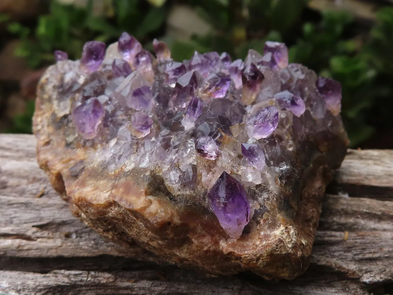 Natural Hand Made Chiredzi Amethyst Conglomerate Specimens x 6 From Chiredzi, Zimbabwe