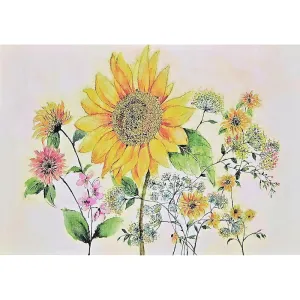 Peter Pauper Press Notecards 14pk - Watercolour Sunflower