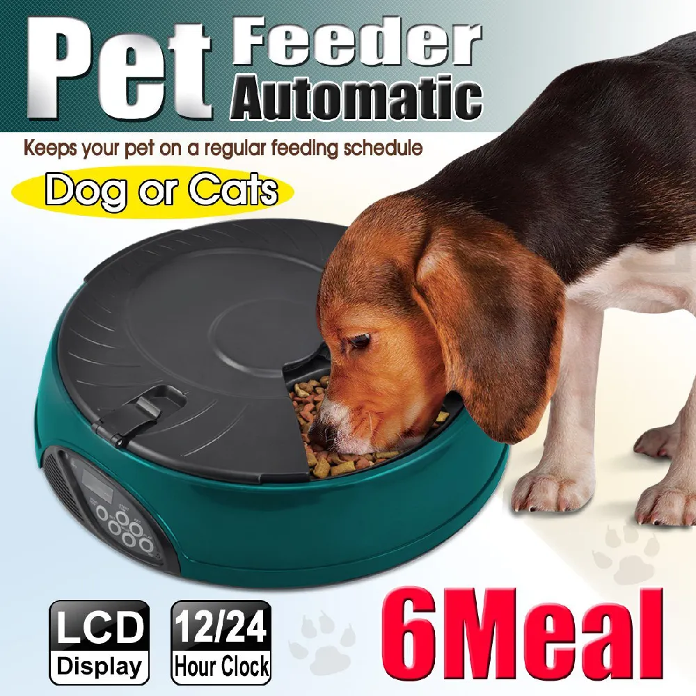 Popamazing 6 Days Cat   Dog   Rabbit Meal Automatic Pet Feeder Auto Dispenser